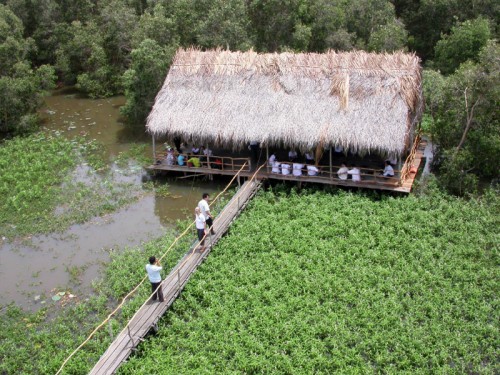 Phong cảnh đẹp ở vườn quốc gia Tràm Chim